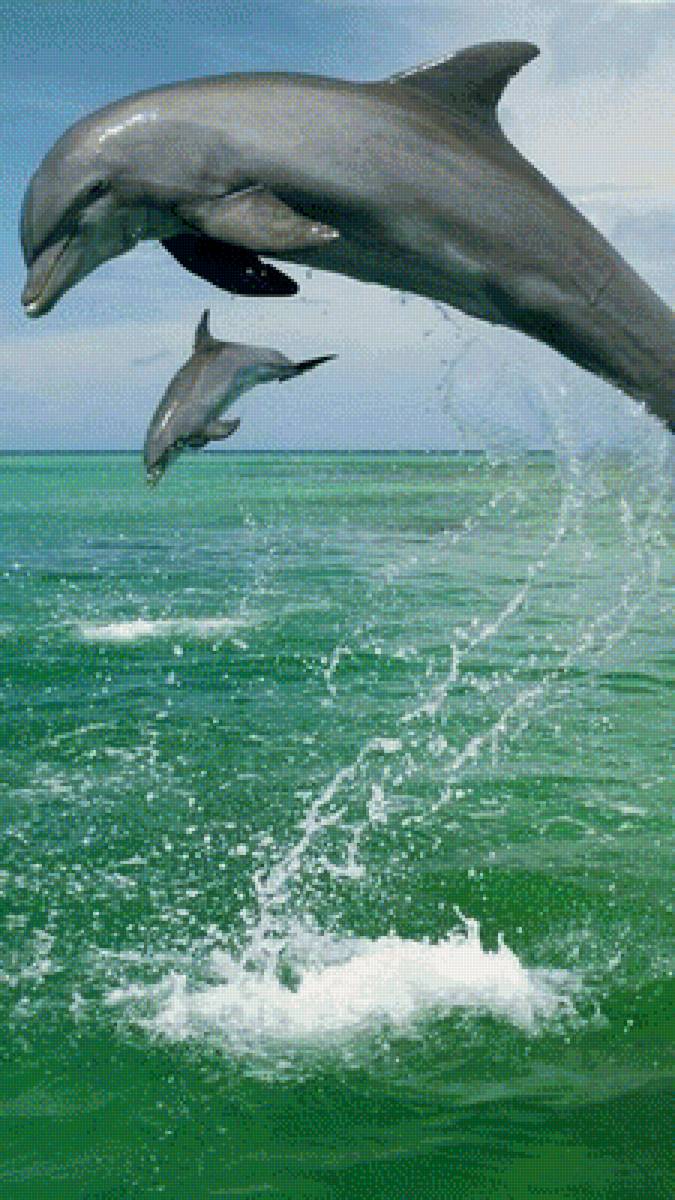 327 - предпросмотр