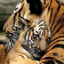 Схема вышивки «Обнимашки»