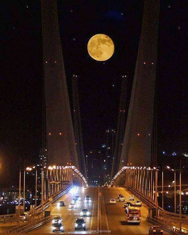 №1721101 - оригинал