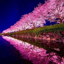 Схема вышивки «№1721107»