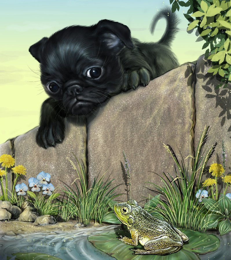 Любопытный - оригинал