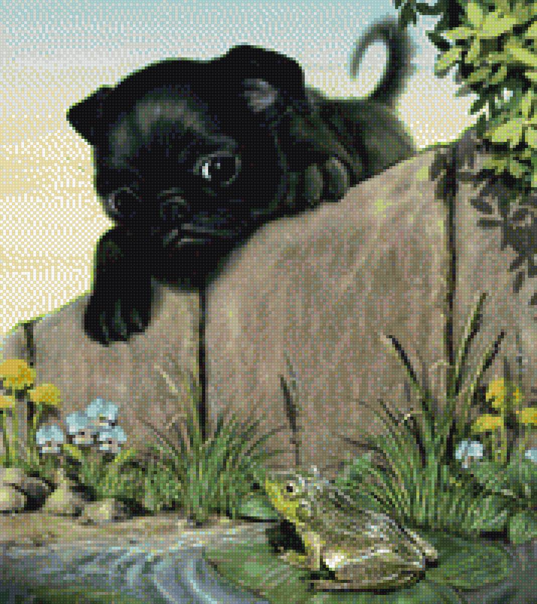 Любопытный - предпросмотр