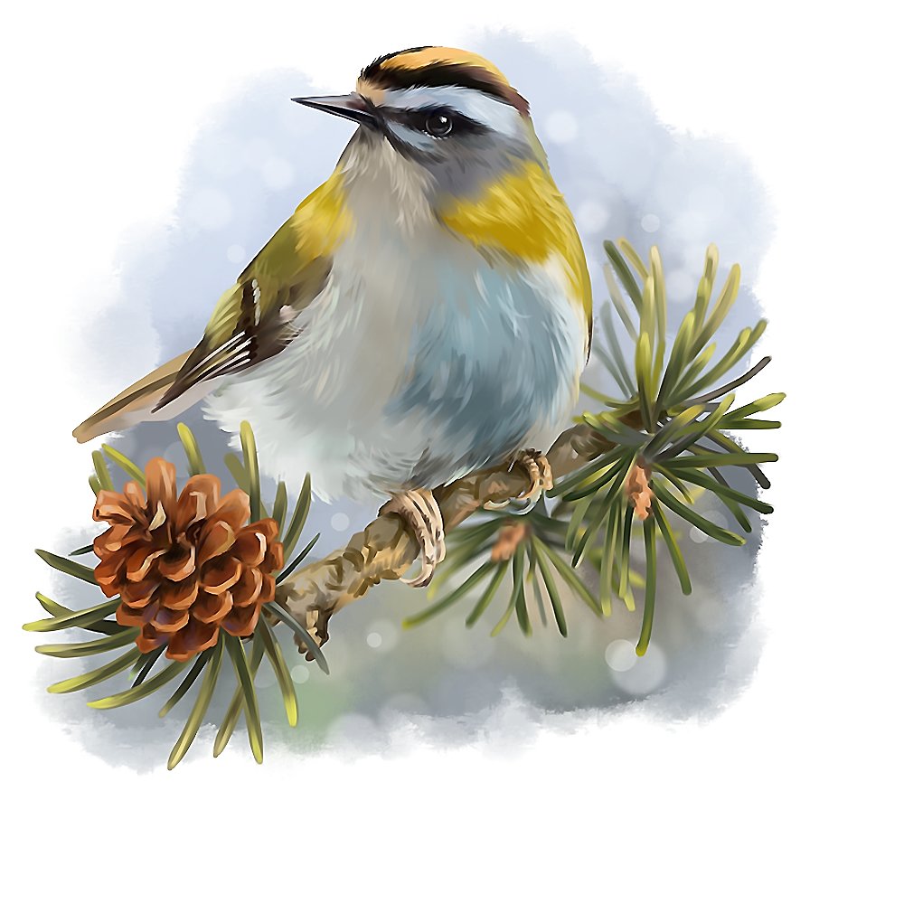 №1721554 - оригинал