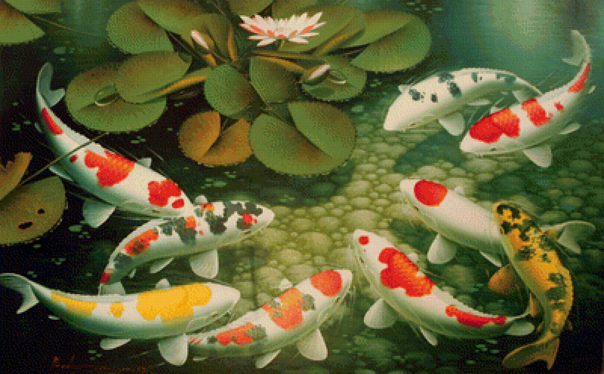 карпы - предпросмотр