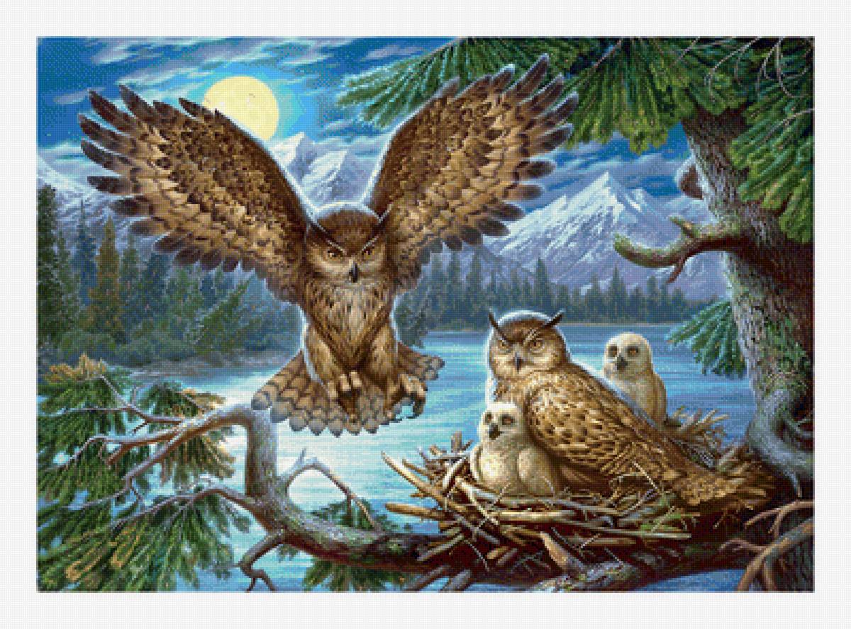 Серия "Птицы", Совы - фауна, совы, птицы - предпросмотр