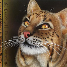 Схема вышивки «большая кошка»