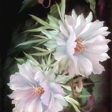 Схема вышивки «№1721694»