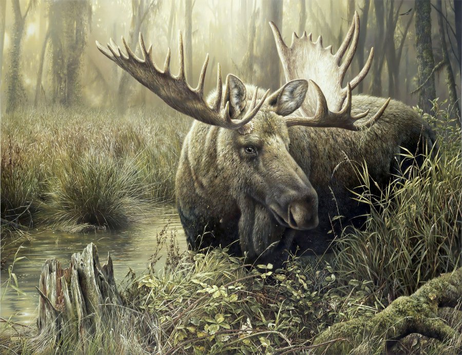 №1722043 - дикие животные - оригинал