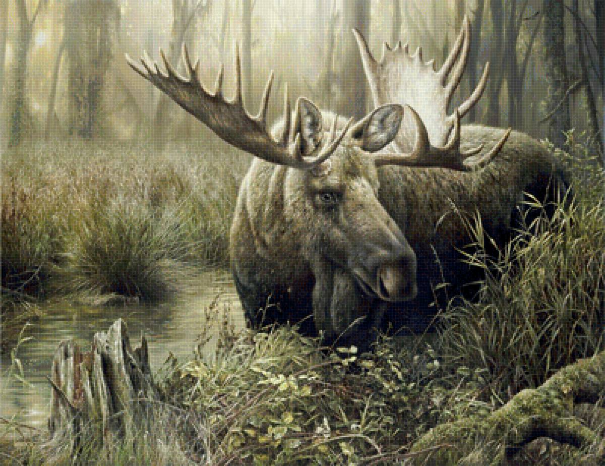 №1722043 - дикие животные - предпросмотр