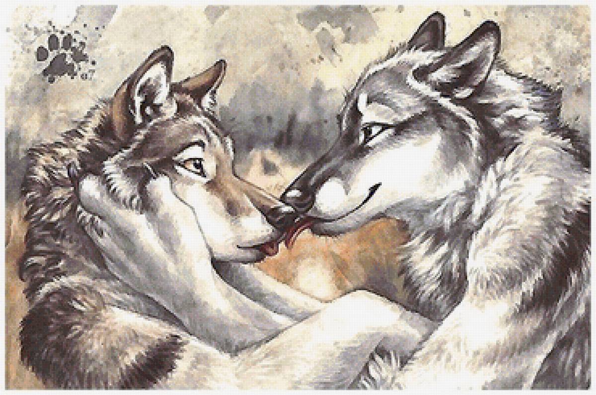 Полюбить волка. Волк и волчица. Пара Волков. Волк и волчица любовь. Волк рисунок.