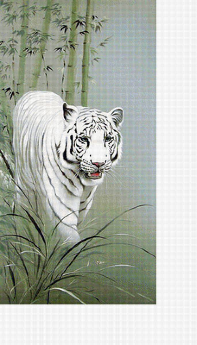 Серия "Хищники". Белый тигр - тигр, хищники, животные - предпросмотр