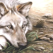 Схема вышивки «волк»