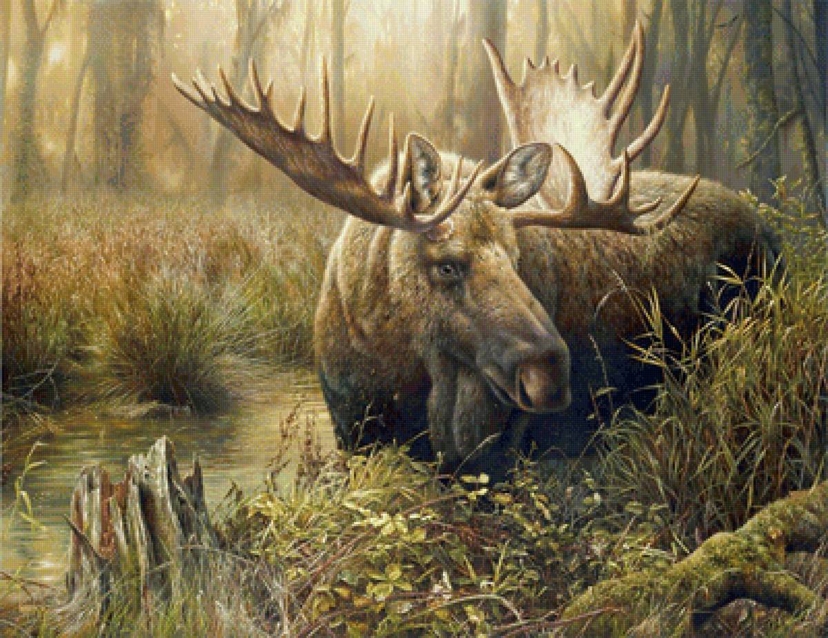 №1722117 - дикие животные - предпросмотр