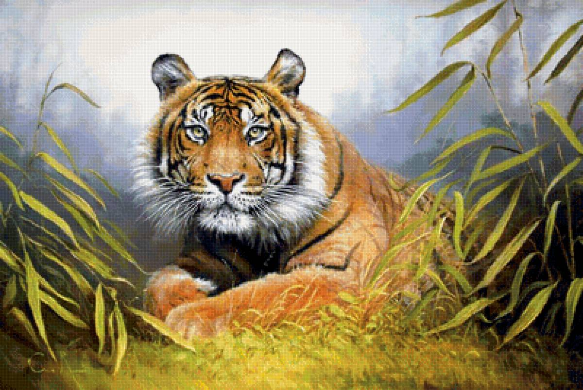 №1722918 - дикие животные - предпросмотр