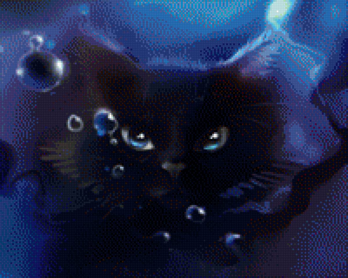 кот - кот - предпросмотр