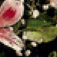 Предпросмотр схемы вышивки «натюрморт с пионами» (№1723223)