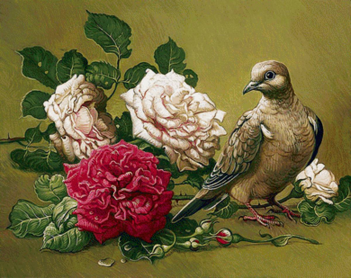 holub,ruže - предпросмотр