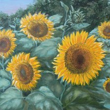 Схема вышивки «подсолнухи»