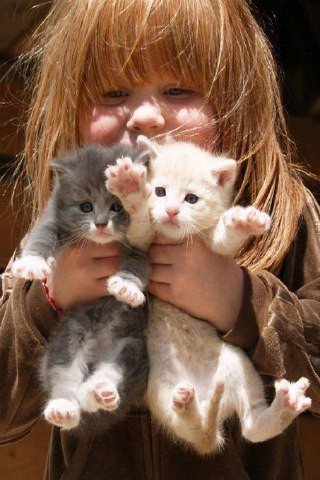 Ир - девушка - оригинал