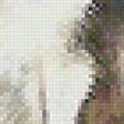 Предпросмотр схемы вышивки «волк» (№1723997)