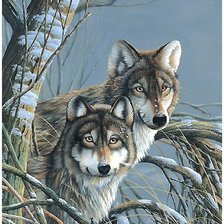 Схема вышивки «волки»