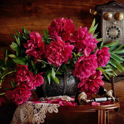 ПИОНЫ - оригинал