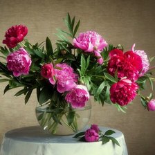 Схема вышивки «ПИОНЫ В ВАЗЕ 1»