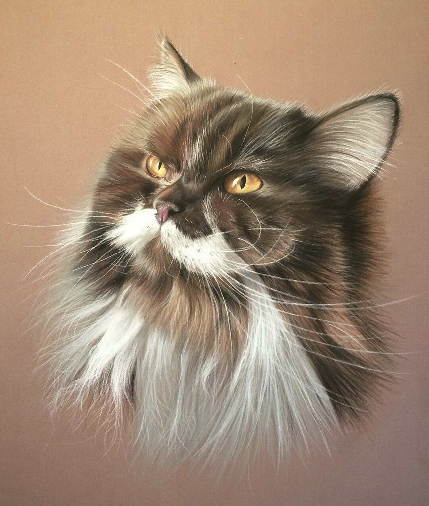 kotek-puszek - оригинал