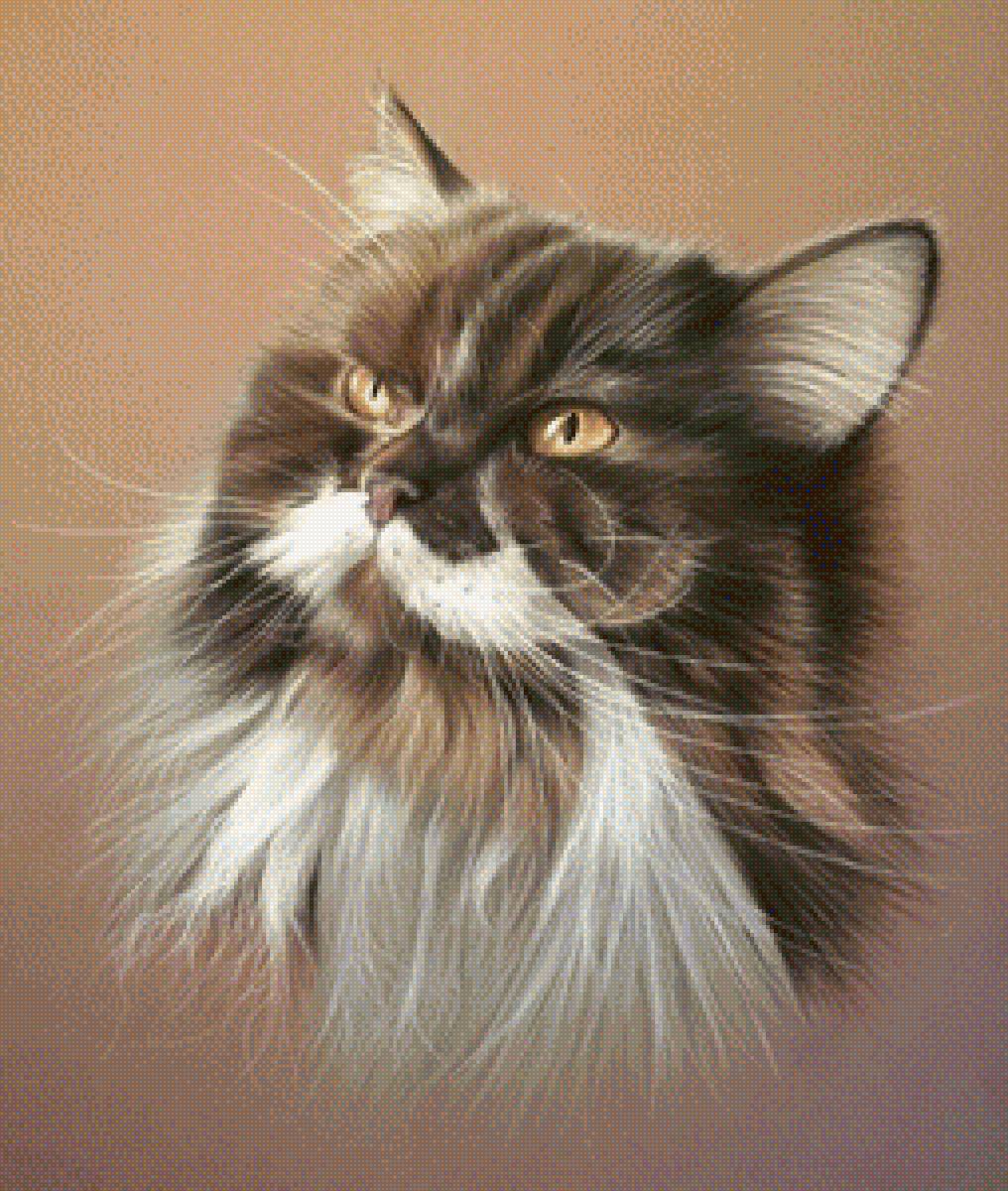 kotek-puszek - предпросмотр