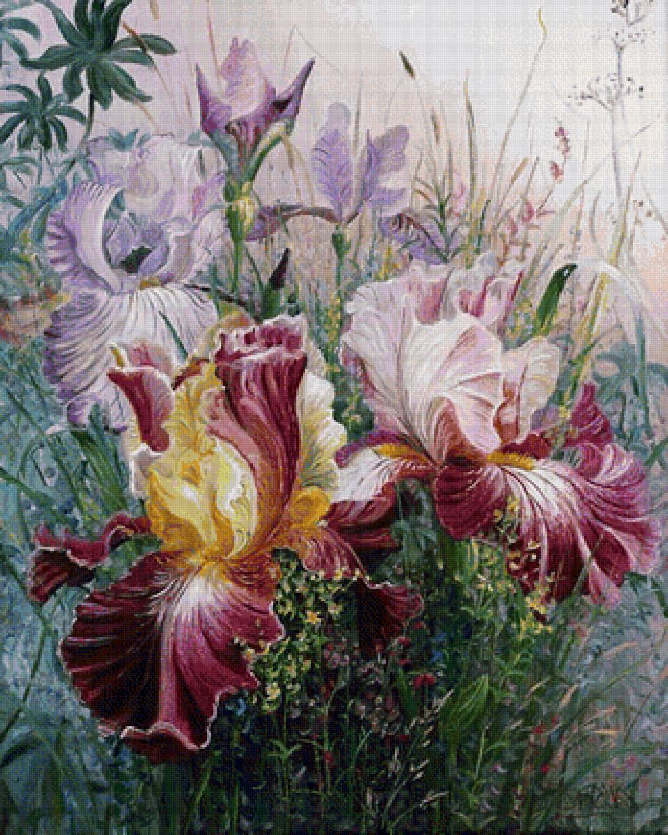 kosatce - предпросмотр