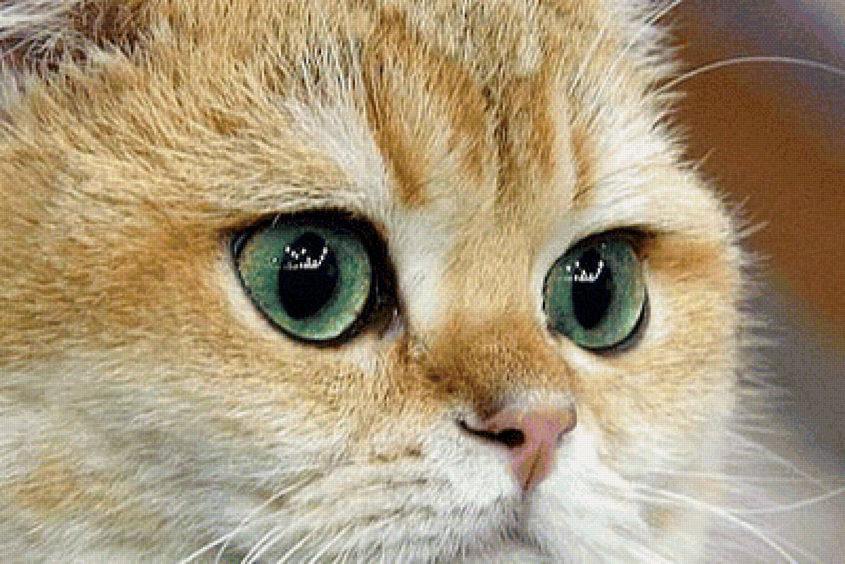 374 - предпросмотр