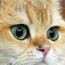 Схема вышивки «374»