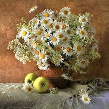 Схема вышивки «РОМАШКИ»