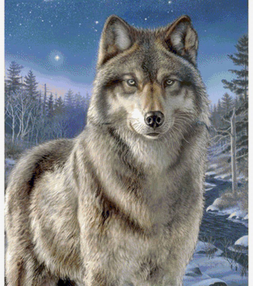 волк - предпросмотр