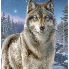Схема вышивки «волк»