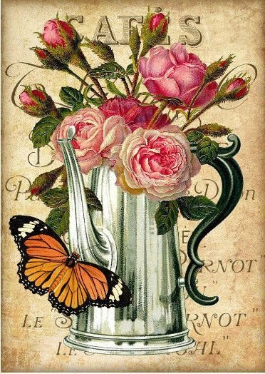 motýľ,kvety,kanvica - оригинал