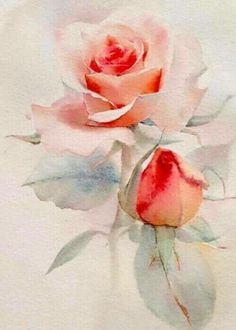 róża - оригинал