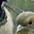 Предпросмотр схемы вышивки «птицы» (№1725833)