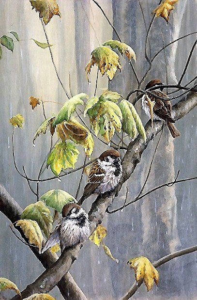 птицы - дождь, птицы - оригинал