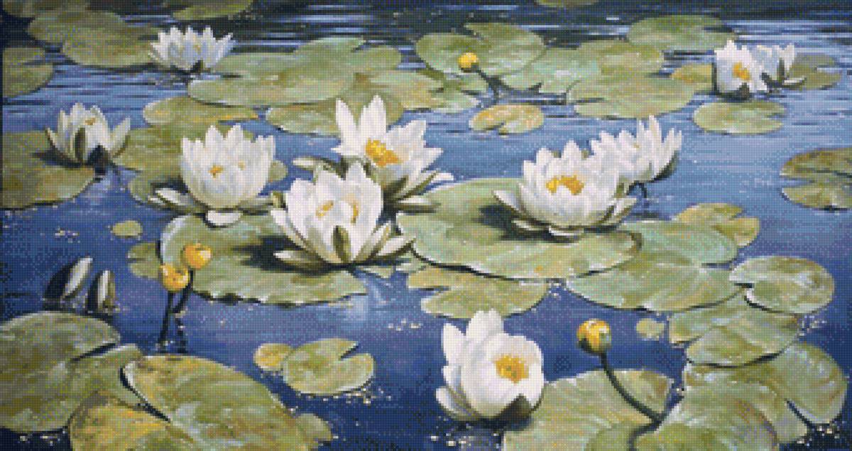 водяные цветы - цветы, вода - предпросмотр