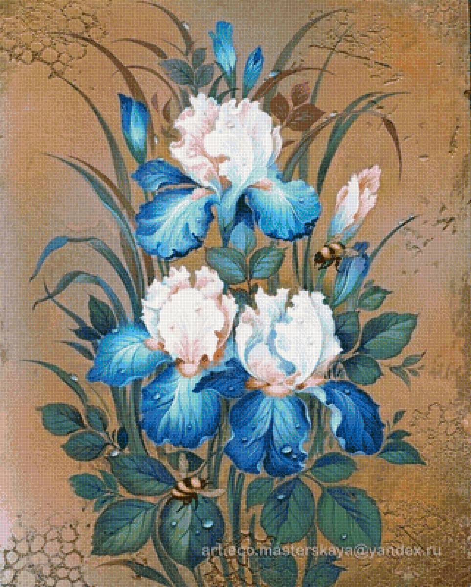 modré kosatce - предпросмотр