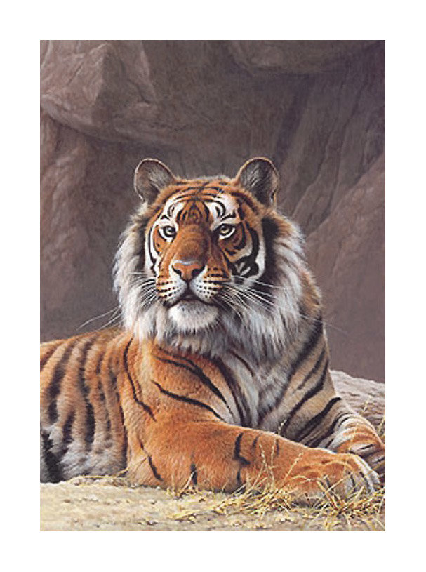 Серия "Хищники". Тигр - тигр, фауна, животные - оригинал