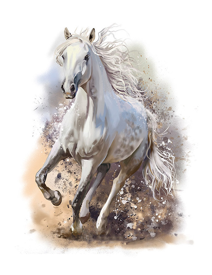 Серия "Кони" - животные, кони - оригинал