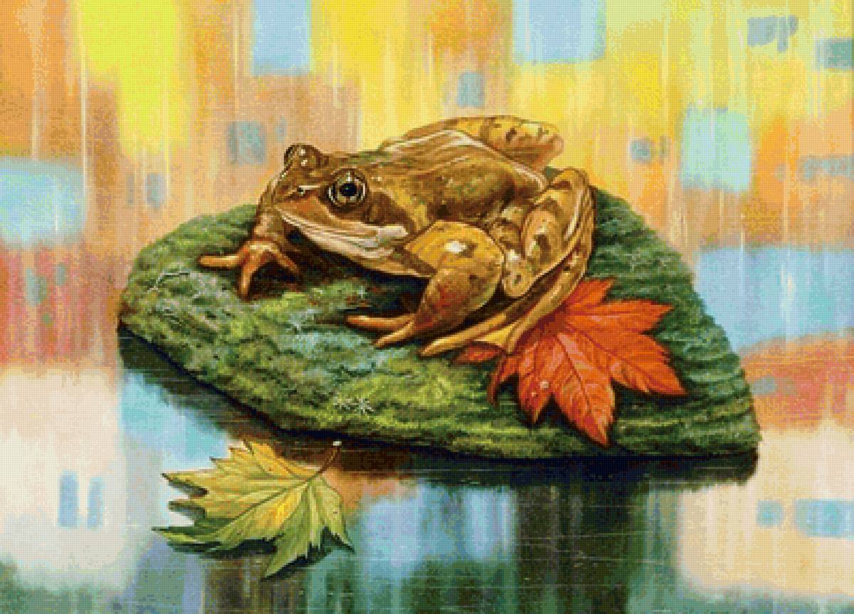 Лягушка - предпросмотр