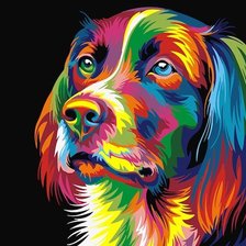Радужный пес