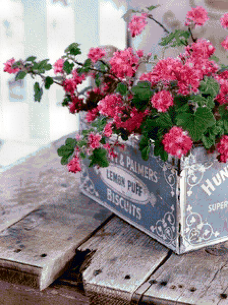 Цветы - розовый, нежность, красота, цветы - предпросмотр