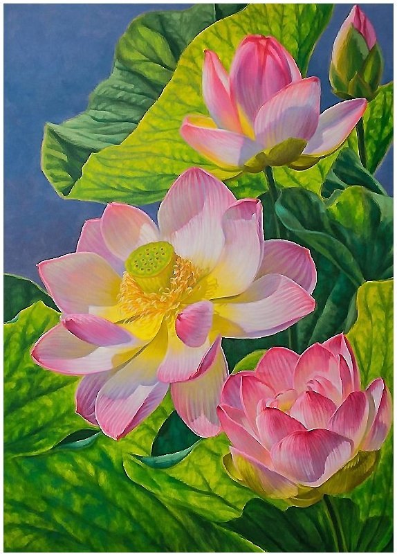 Лотос - оригинал