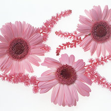 Схема вышивки «цветы»