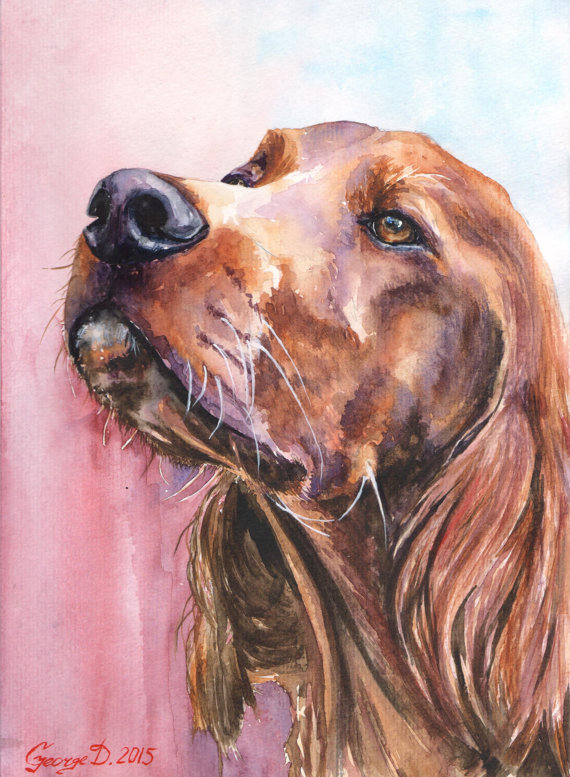 Любопытство - оригинал