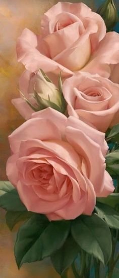 роза - оригинал